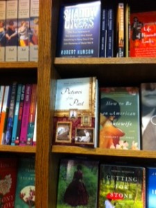 Pictures of the Past on Bookstore Shelf
